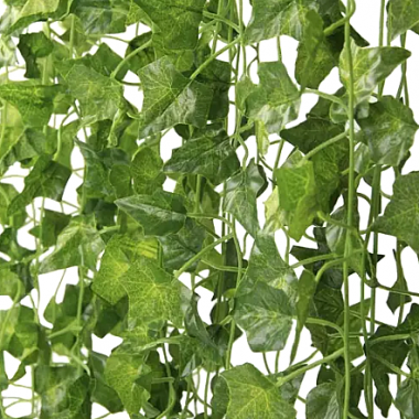 Διακοσμητικός τεχνητός κισσός